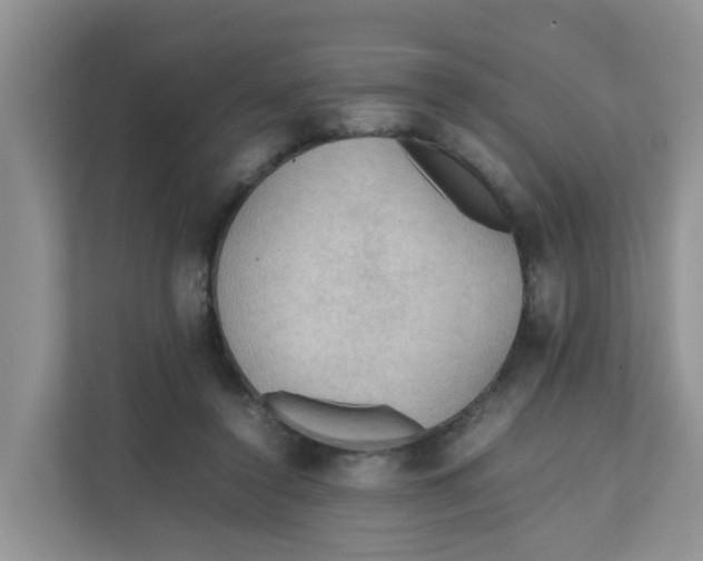 X0000111860356200908131504