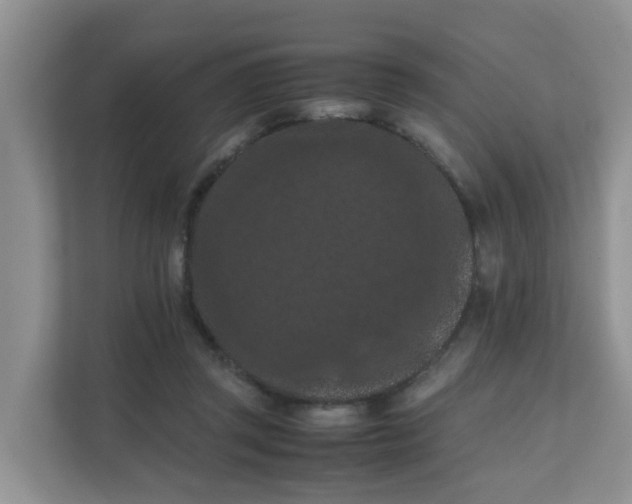 X0000111860357200908131504