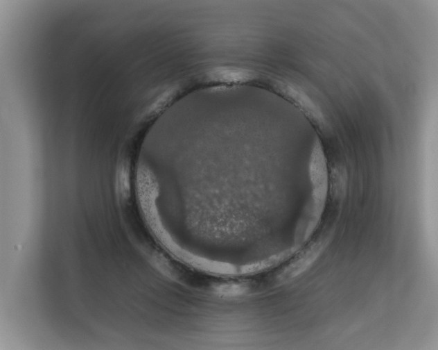 X0000111860358200908131504