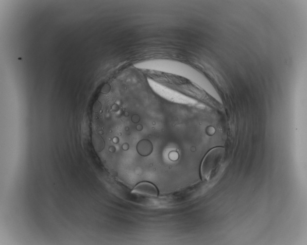 X0000111860359200908131504