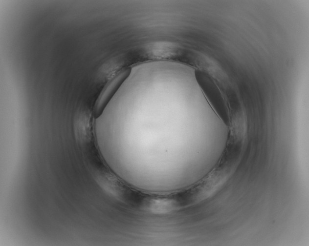 X0000111860360200908131504