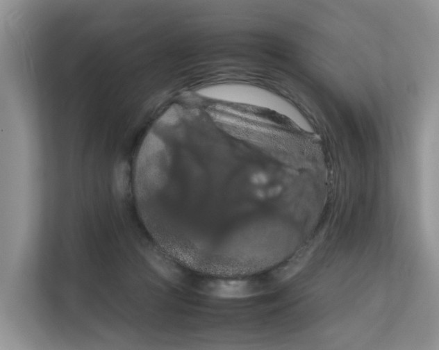 X0000111860361200908131504