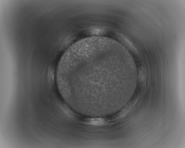 X0000111860363200908131504