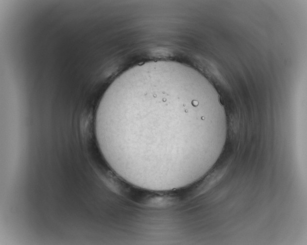 X0000111860364200908131504