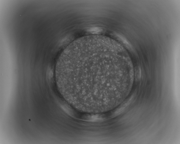 X0000111860365200908131504