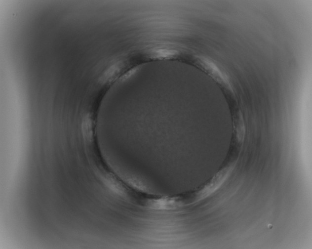 X0000111860366200908131504