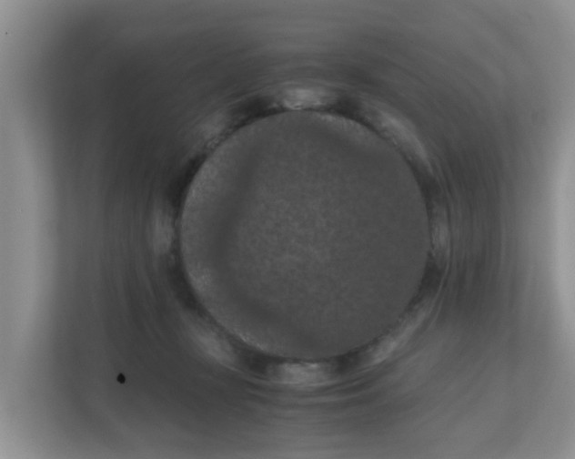 X0000111860367200908131504