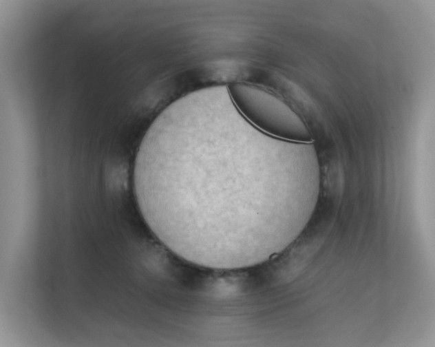 X0000111860368200908131504