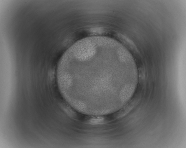 X0000111860369200908131504