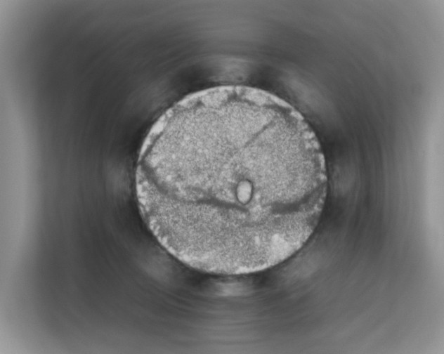 X0000111860370200908131504