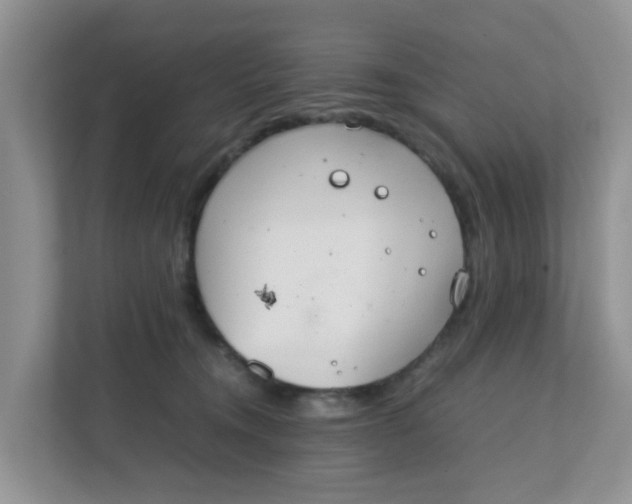 X0000111860372200908131504