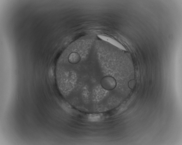 X0000111860373200908131504