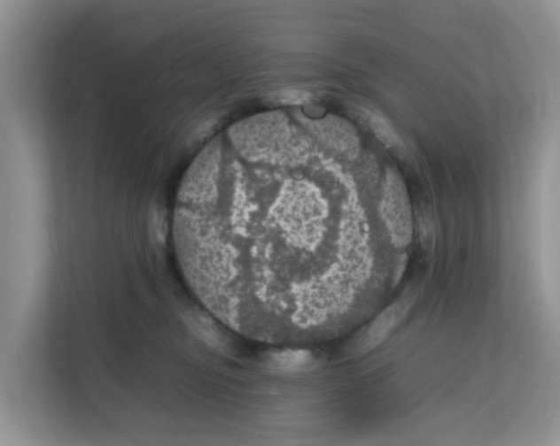 X0000111860374200908131504