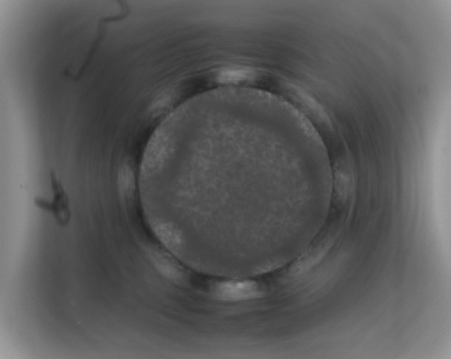 X0000111860375200908131504