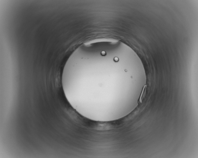 X0000111860376200908131504