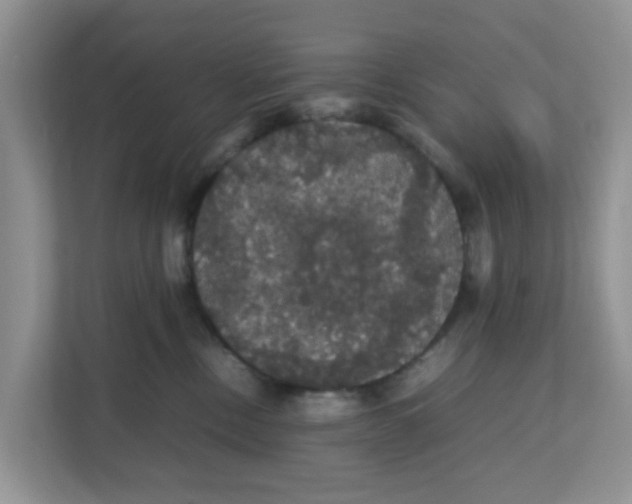 X0000111860378200908131504