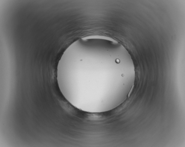 X0000111860380200908131504