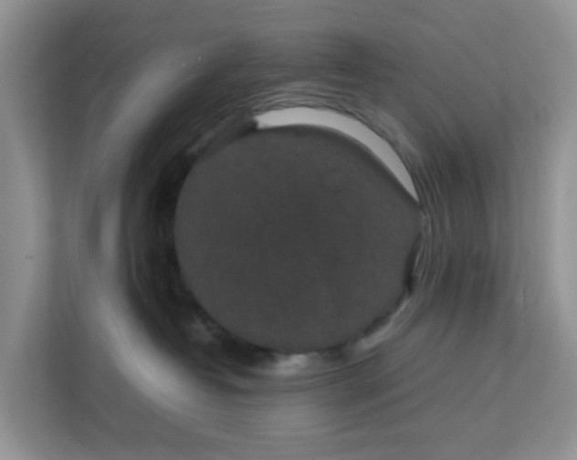 X0000111860382200908131504