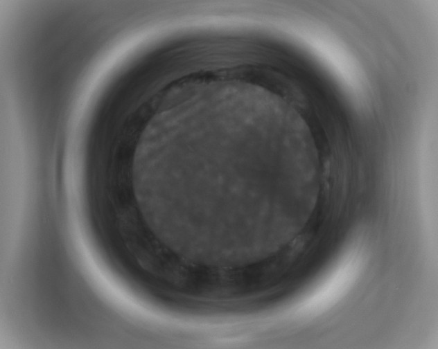 X0000111860383200908131504