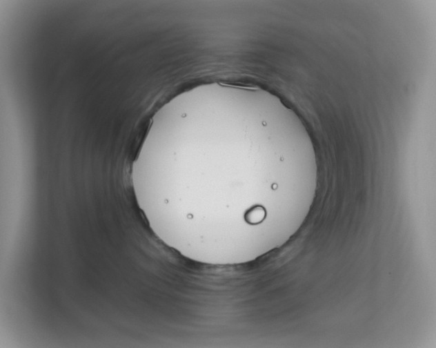 X0000111860384200908131504