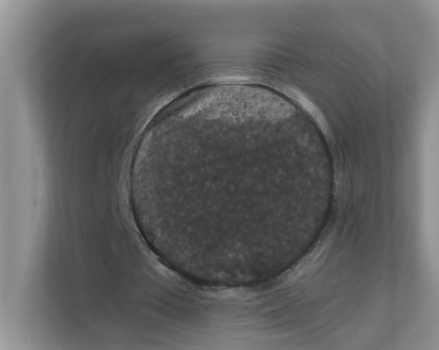 X0000111860385200908131503