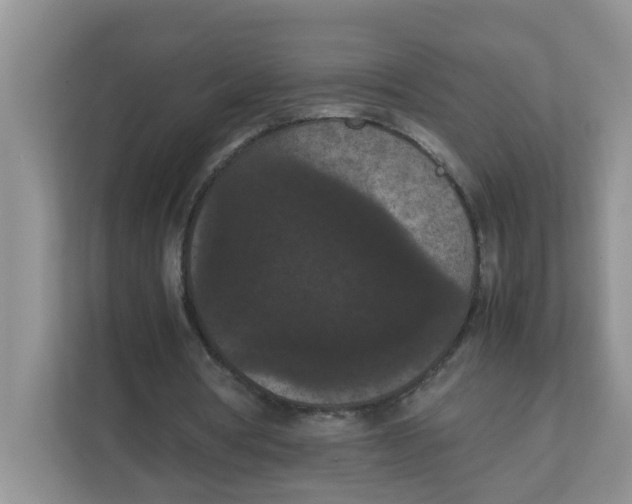 X0000111860386200908131503