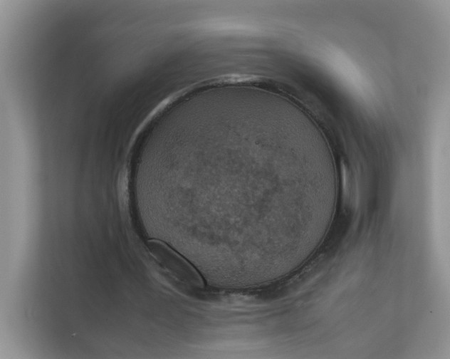 X0000111860387200908131503