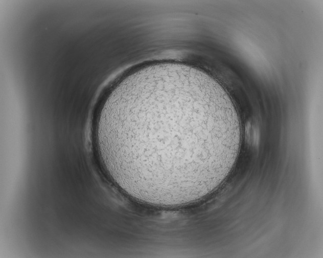 X0000111860388200908131503