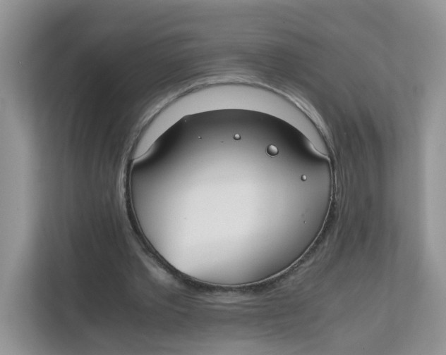 X0000111860389200908131503