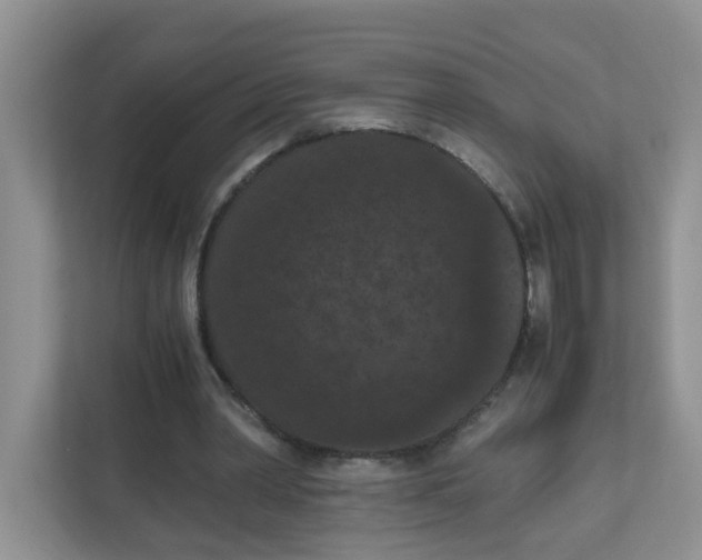 X0000111860390200908131503