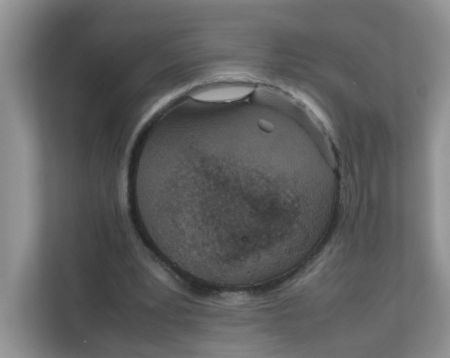 X0000111860391200908131503