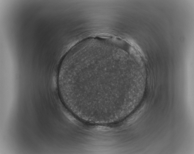 X0000111860393200908131503