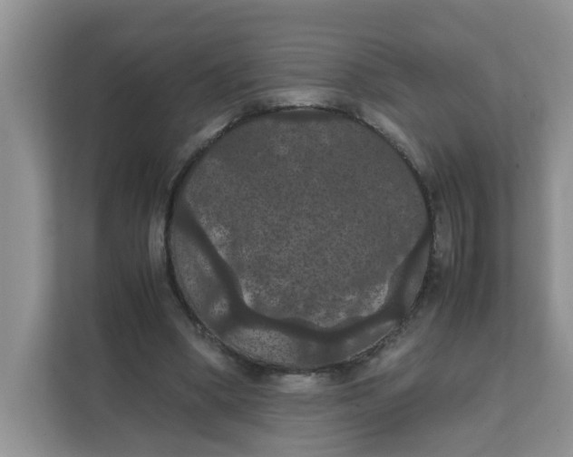 X0000111860394200908131503