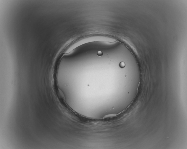 X0000111860395200908131503