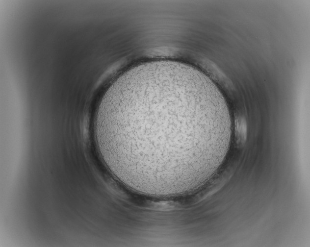 X0000111860396200908131503