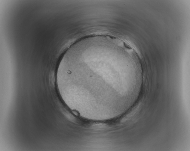 X0000111860397200908131503