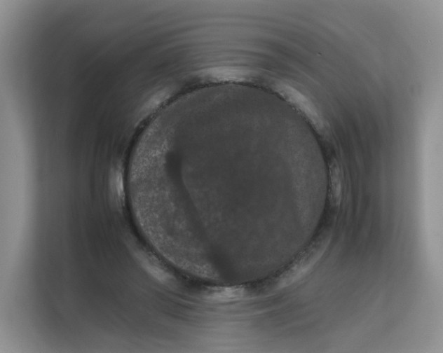 X0000111860398200908131503