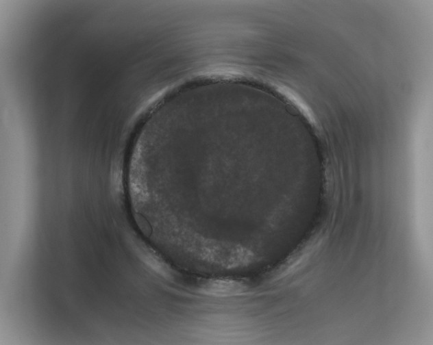 X0000111860399200908131503