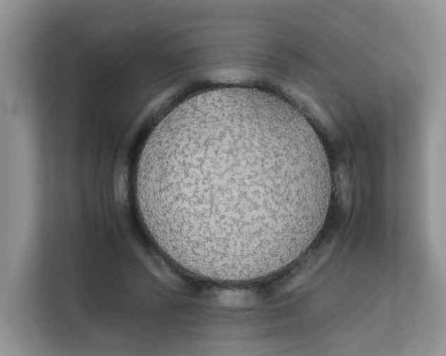 X0000111860400200908131503