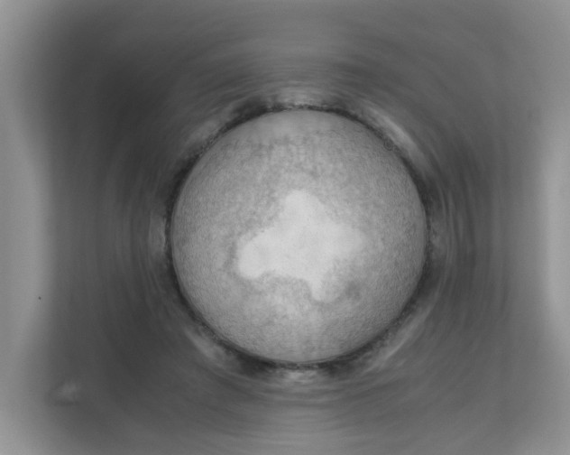 X0000111860401200908131503