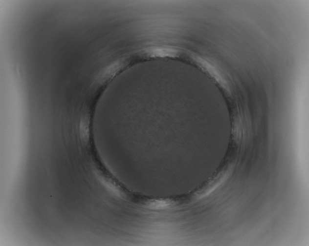 X0000111860402200908131503