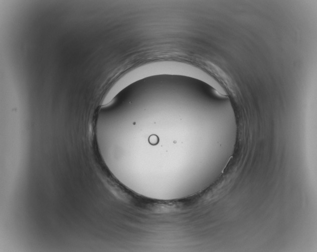 X0000111860405200908131503