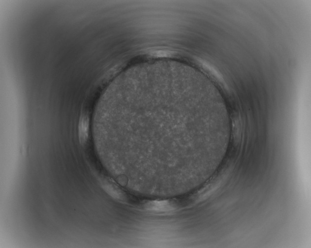 X0000111860406200908131503