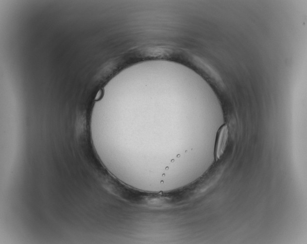 X0000111860407200908131503