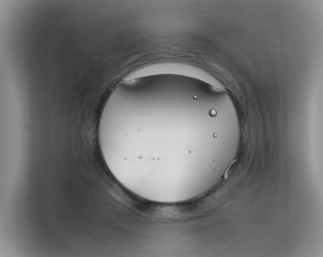 X0000111860409200908131503