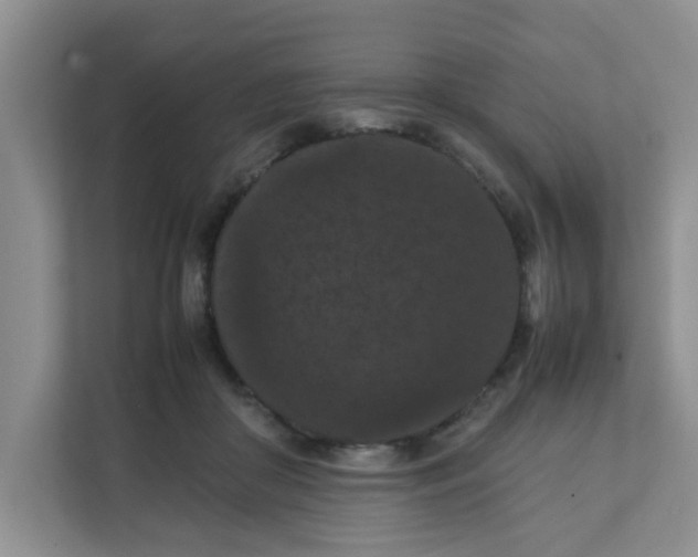 X0000111860410200908131503