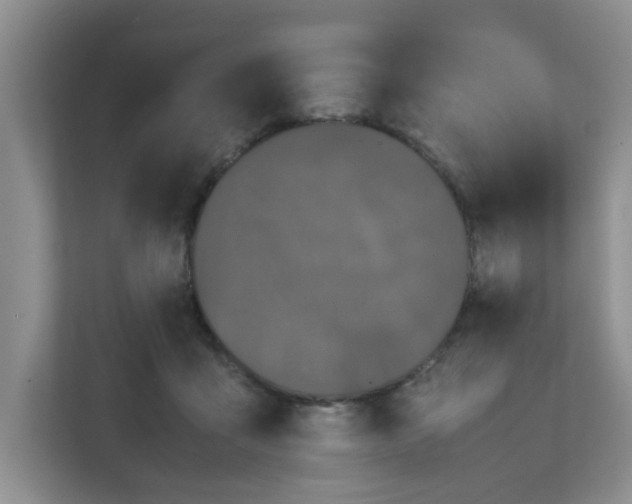 X0000111860411200908131503