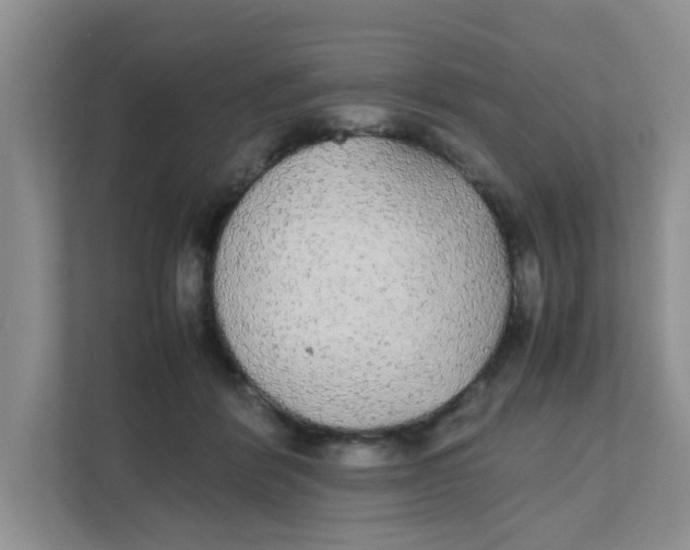 X0000111860412200908131503