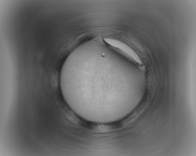 X0000111860413200908131503