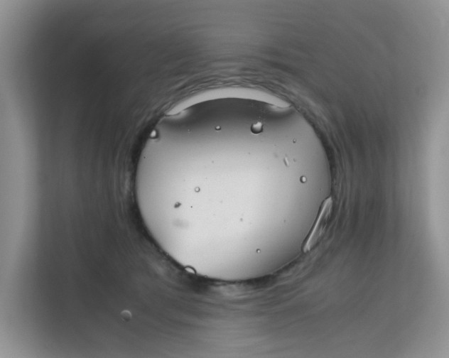 X0000111860417200908131503